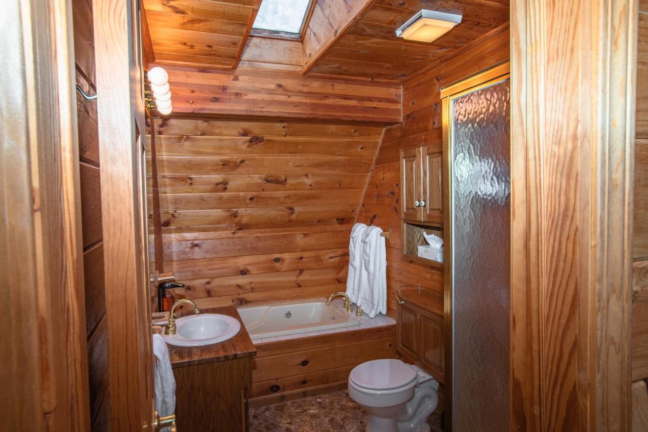 Treetops Cabin Easy To Asheville With Fast Wifi And Great View Swiss Luaran gambar
