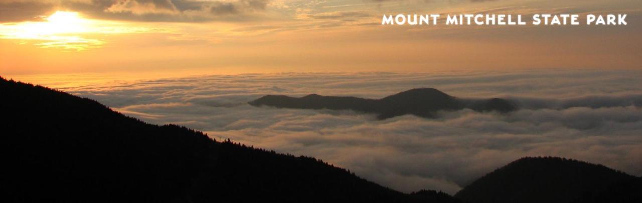 Treetops Cabin Easy To Asheville With Fast Wifi And Great View Swiss Luaran gambar