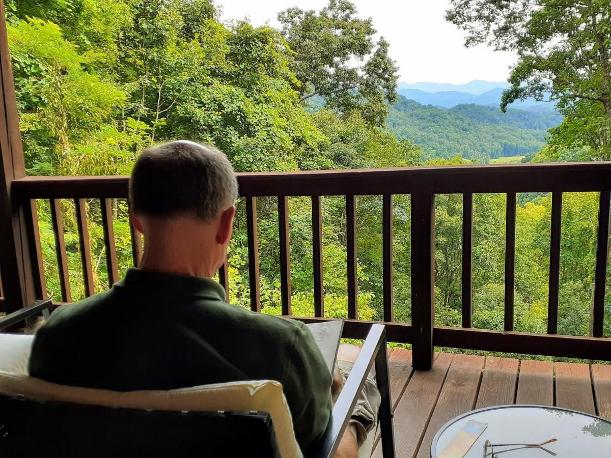Treetops Cabin Easy To Asheville With Fast Wifi And Great View Swiss Luaran gambar