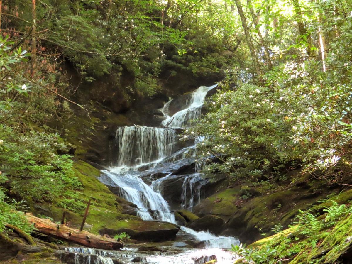 Treetops Cabin Easy To Asheville With Fast Wifi And Great View Swiss Luaran gambar