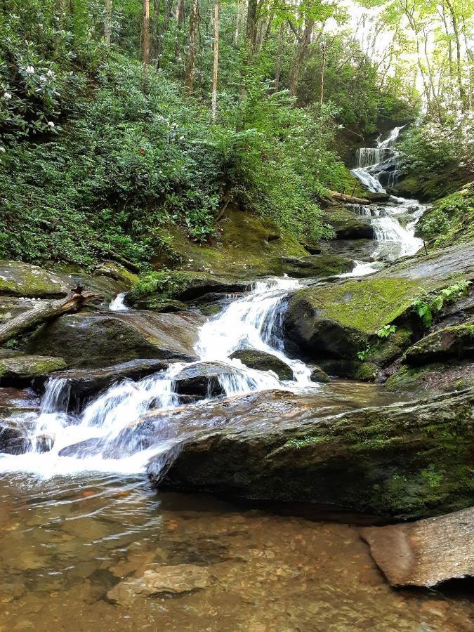Treetops Cabin Easy To Asheville With Fast Wifi And Great View Swiss Luaran gambar