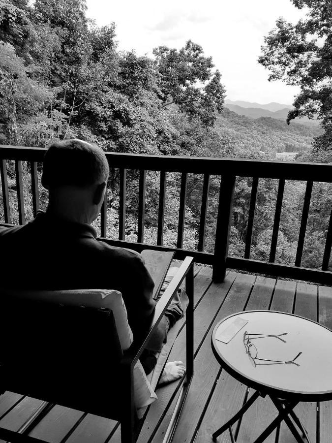 Treetops Cabin Easy To Asheville With Fast Wifi And Great View Swiss Luaran gambar